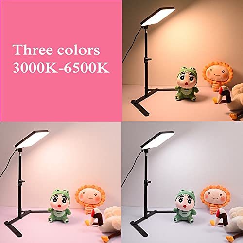 11-Inch Penal LED Light with Remote & Mini Tripod Stand